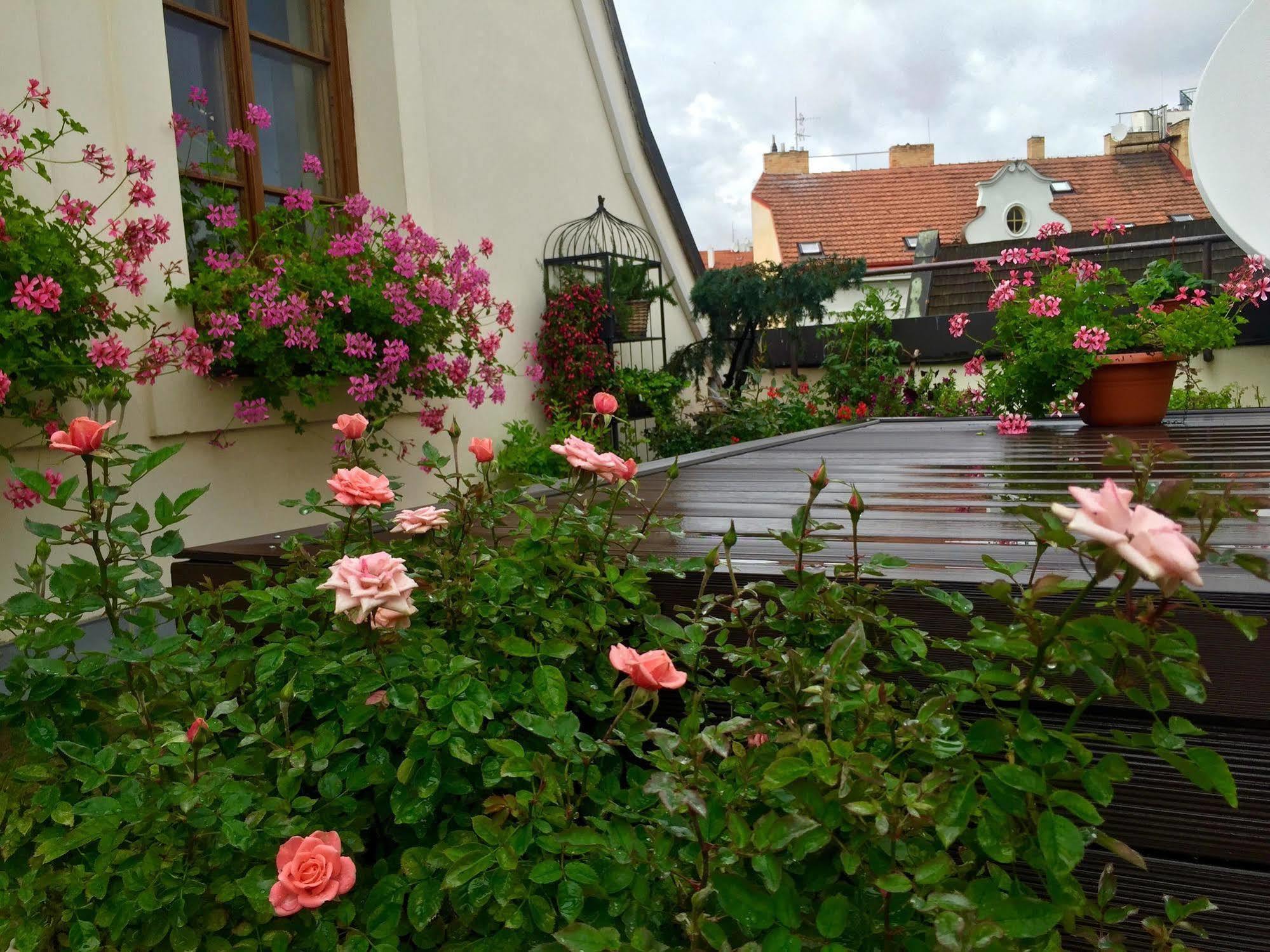 Old Town Boutique Apartments Prag Exteriör bild